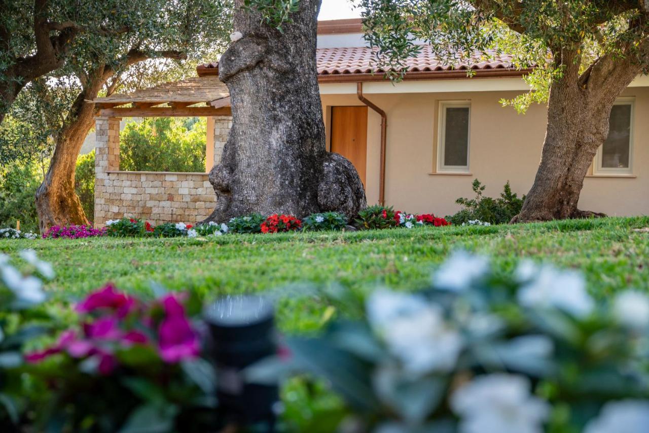 Il Mirto Residence Marina di Camerota Bagian luar foto