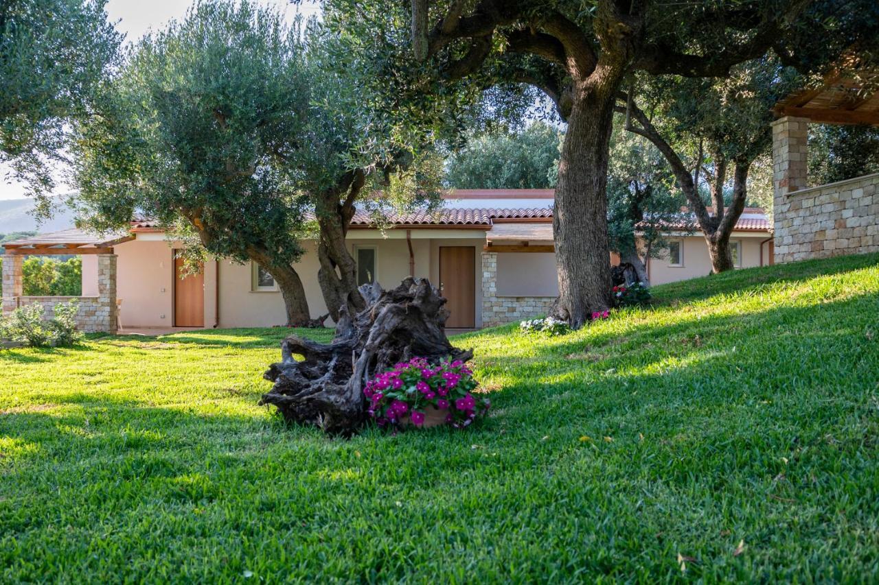 Il Mirto Residence Marina di Camerota Bagian luar foto