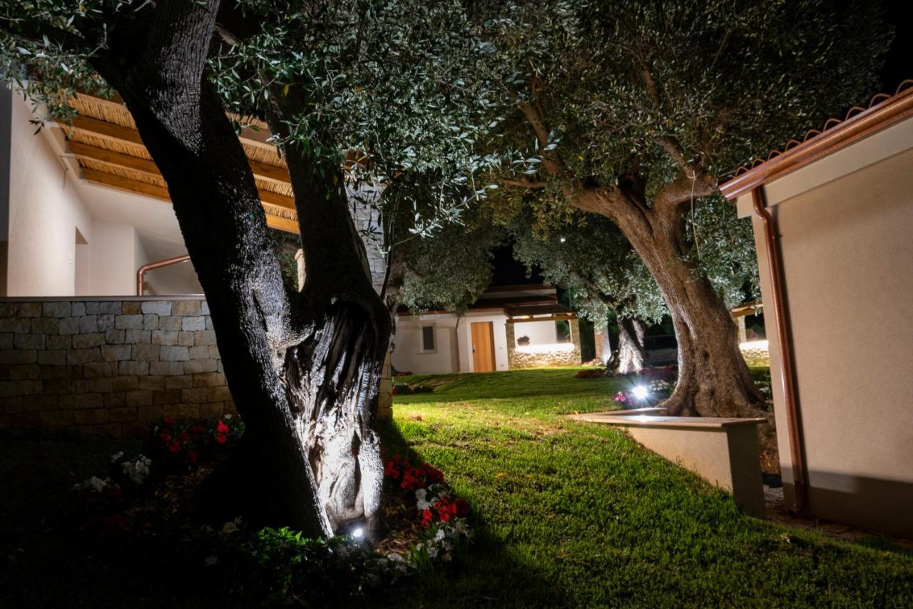 Il Mirto Residence Marina di Camerota Bagian luar foto