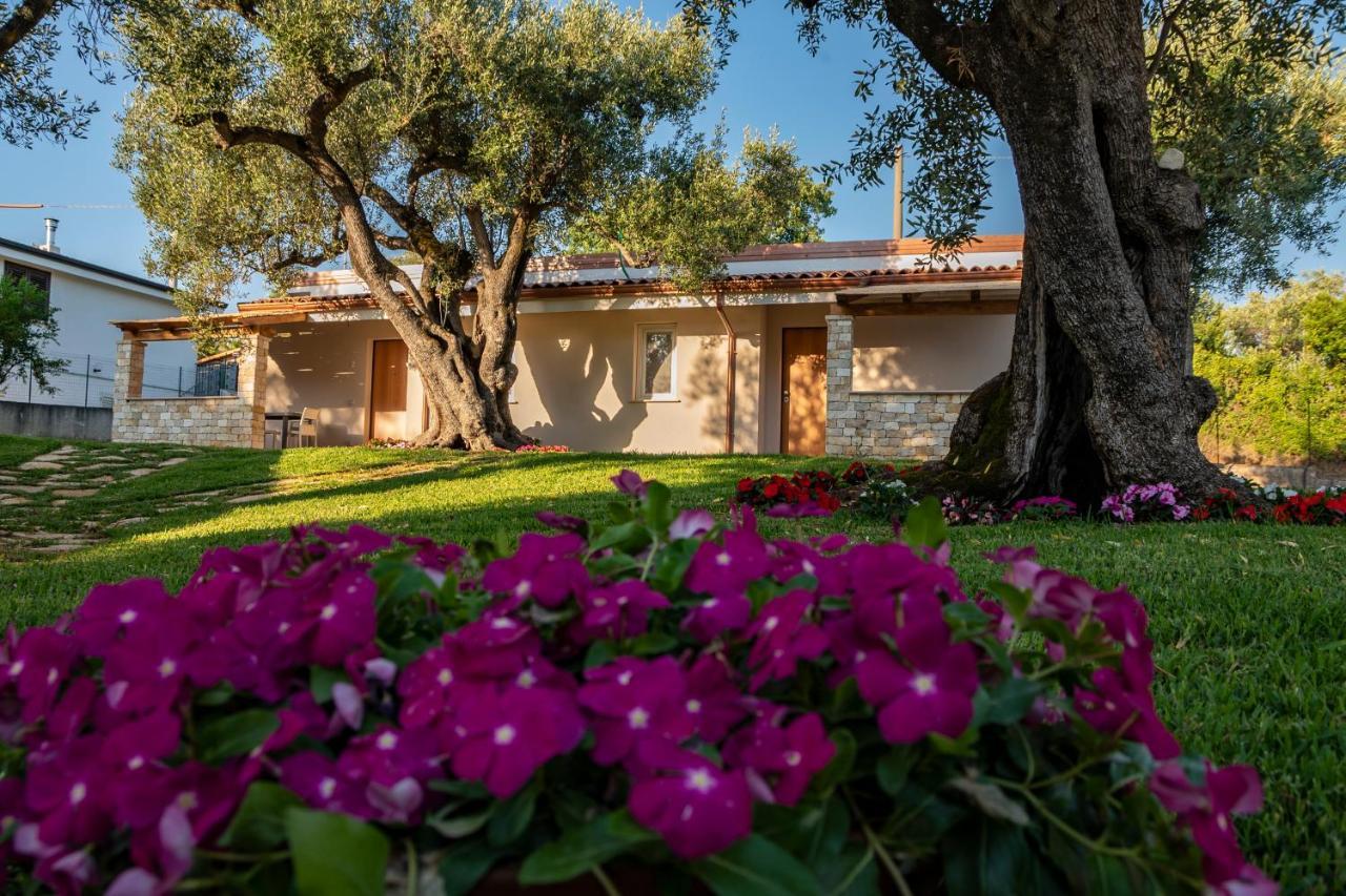 Il Mirto Residence Marina di Camerota Bagian luar foto